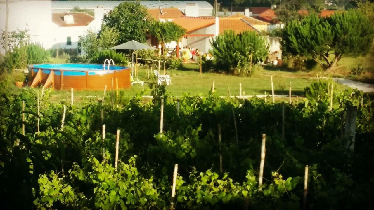 Gasthaus A Quinta Da Estrelinha Quinta de Cavaleiros Exterior foto